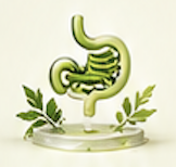 Digestive Health