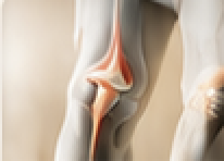 Joint and Bone Care